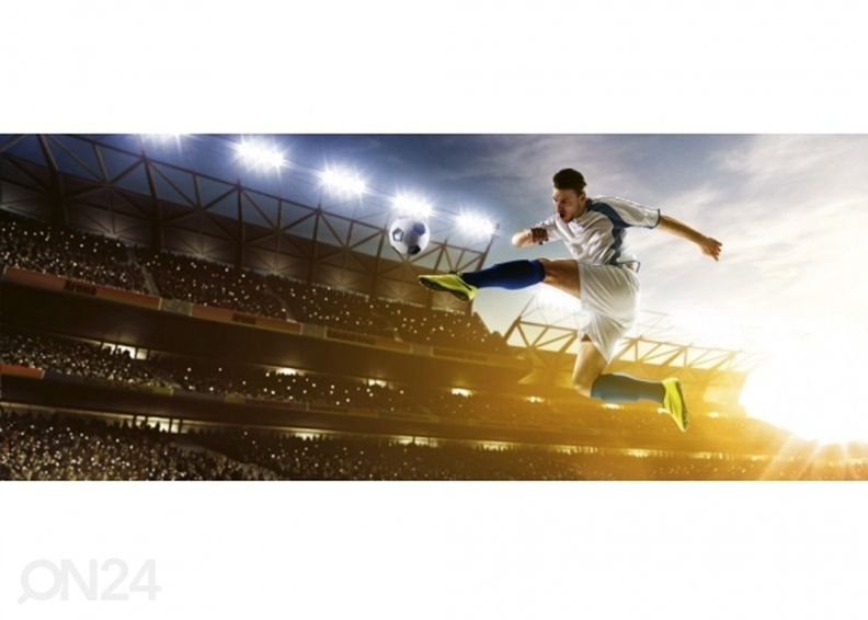 Fliis fototapeet Soccer player 150x250 cm suurendatud
