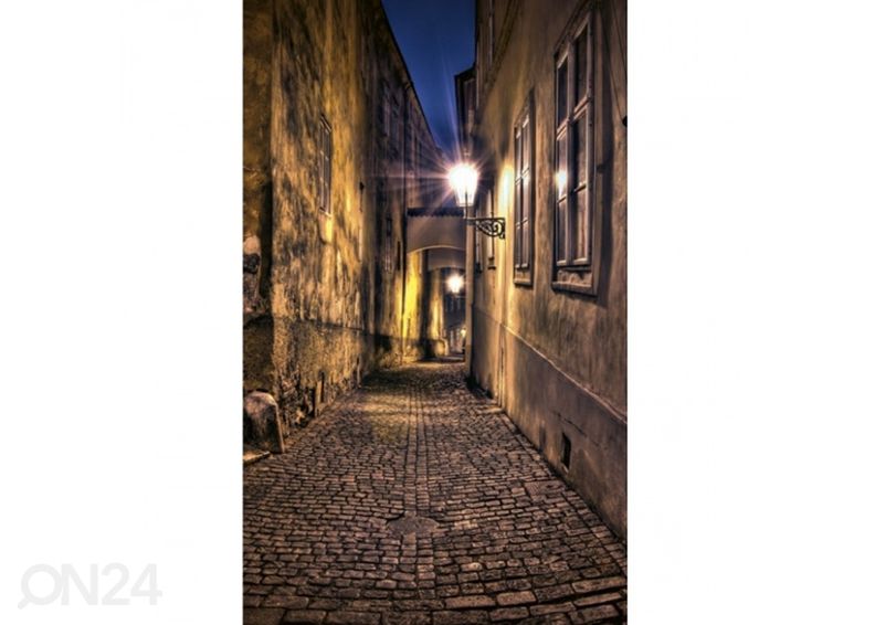 Fliis fototapeet Street 150x250 cm suurendatud