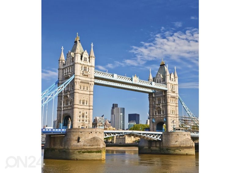 Fliis fototapeet Tower bridge 225x250 cm suurendatud
