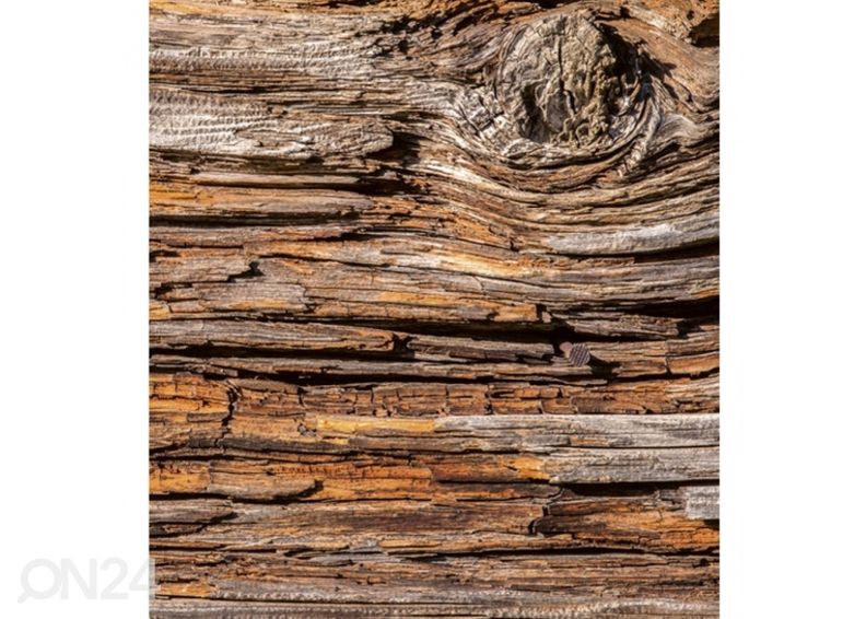 Fliis fototapeet Tree bark 150x250 cm suurendatud