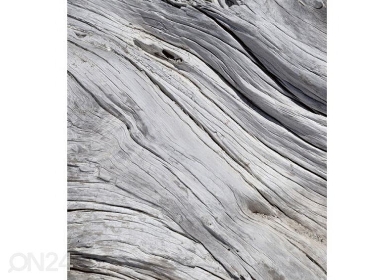 Fliis fototapeet Tree texture 150x250 cm suurendatud