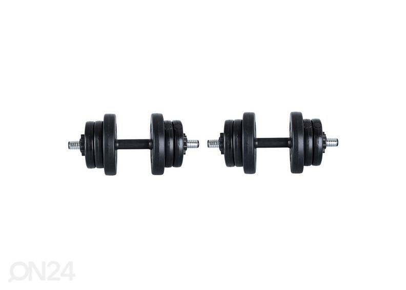 Hantlite komplekt koos kangiga tsement DBS2181 2 x 3-10 kg inSPORTline suurendatud