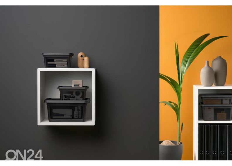Hoiukast BaseStore 12,5 L, 28x38xh16 cm hall suurendatud