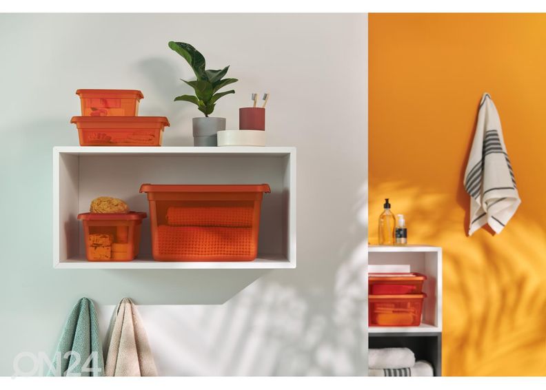 Hoiukast BaseStore 15 L, 28x38xh22,5 cm oranž suurendatud