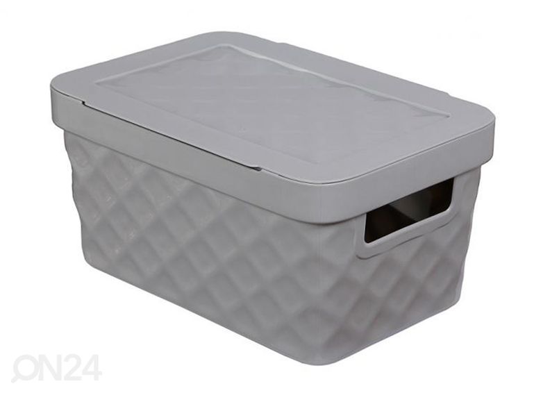 Hoiukast kaanega Diamond 4,5 L suurendatud