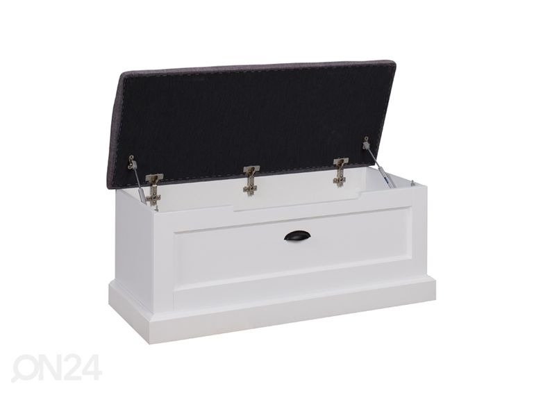 Hoiukast / pink Galt suurendatud