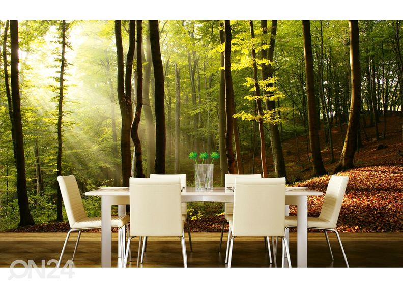Isekleepuv fototapeet Forest suurendatud
