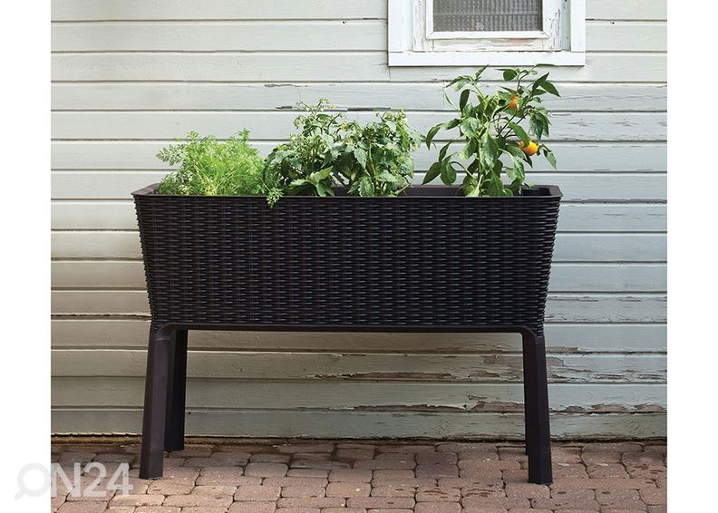 Istutuskast Keter Easy Grow 114x49x76 cm, antratsiit suurendatud
