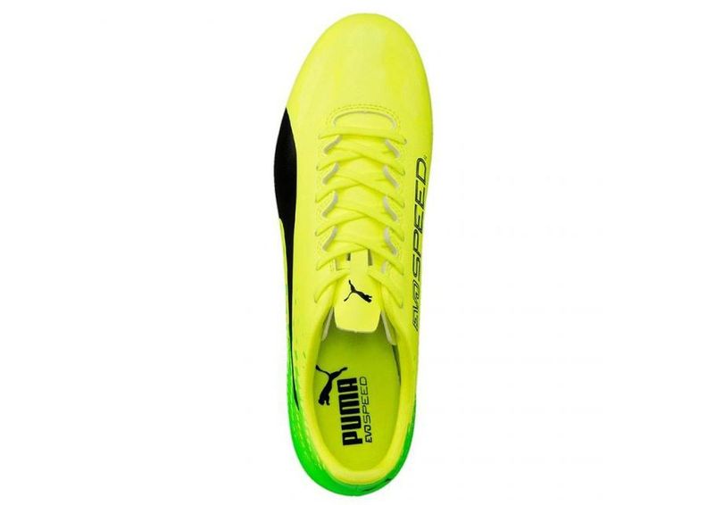 Jalgpallijalatsid meestele muru Puma Evo Speed 17.4 FG M 104017 01 suurendatud