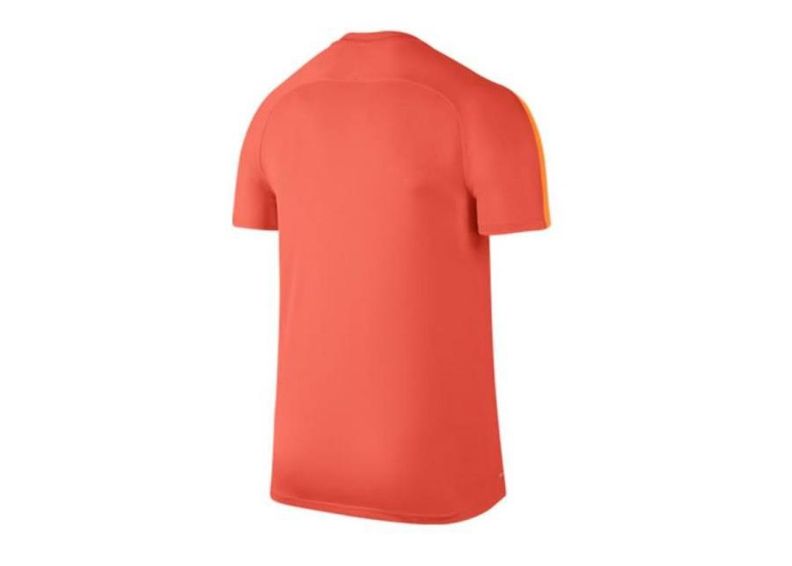 Jalgpallisärk meestele Nike Dry Squad Football Top M 807243-842 suurendatud