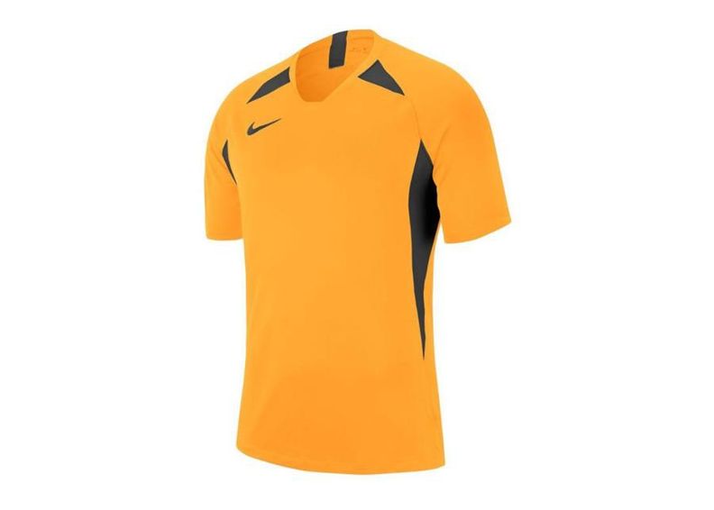 Jalgpallisärk meestele Nike Legend SS Jersey M AJ0998-739 suurendatud