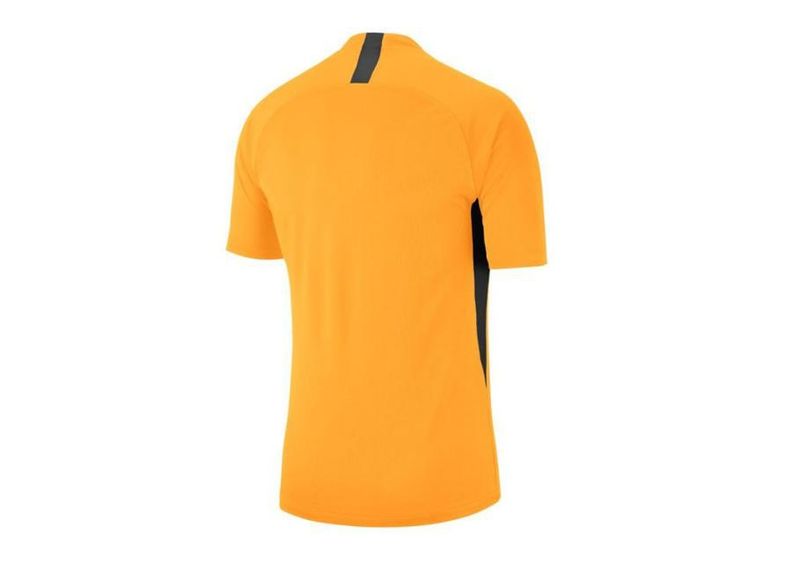 Jalgpallisärk meestele Nike Legend SS Jersey M AJ0998-739 suurendatud