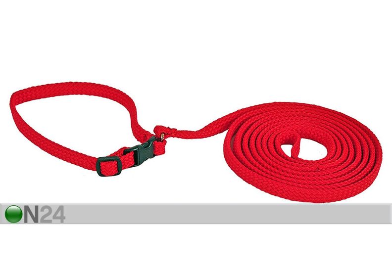 Jalutusrihm koerale suurendatud