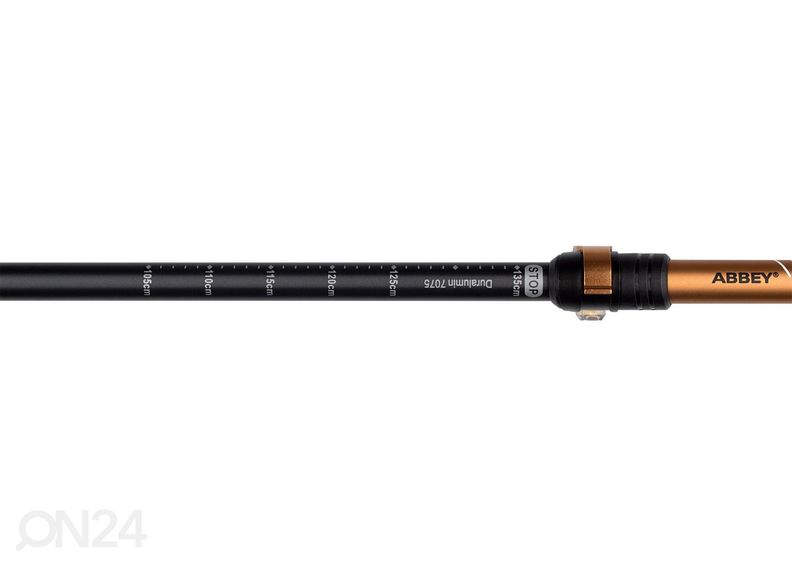 Käimiskepid Abbey suurendatud