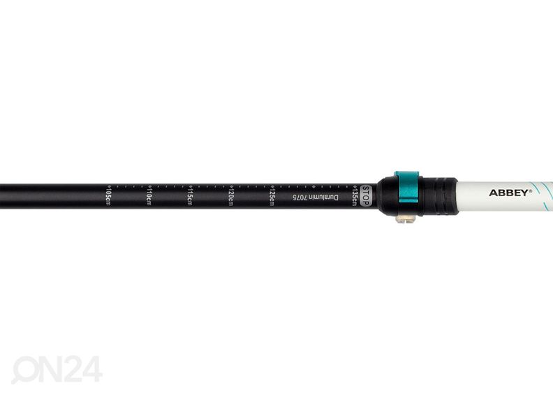 Käimiskepid Abbey suurendatud