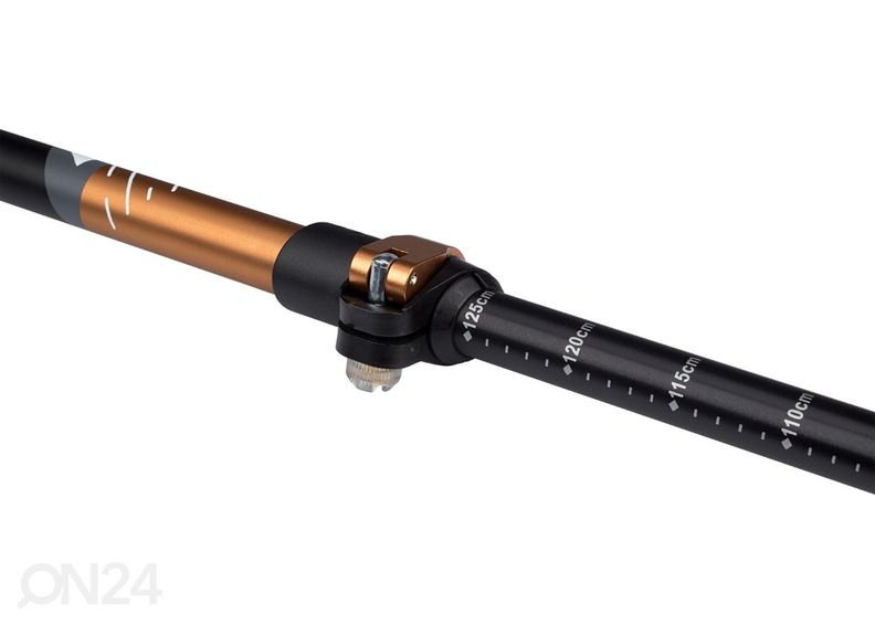 Käimiskepid Abbey suurendatud