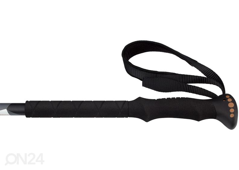 Käimiskepid Abbey suurendatud