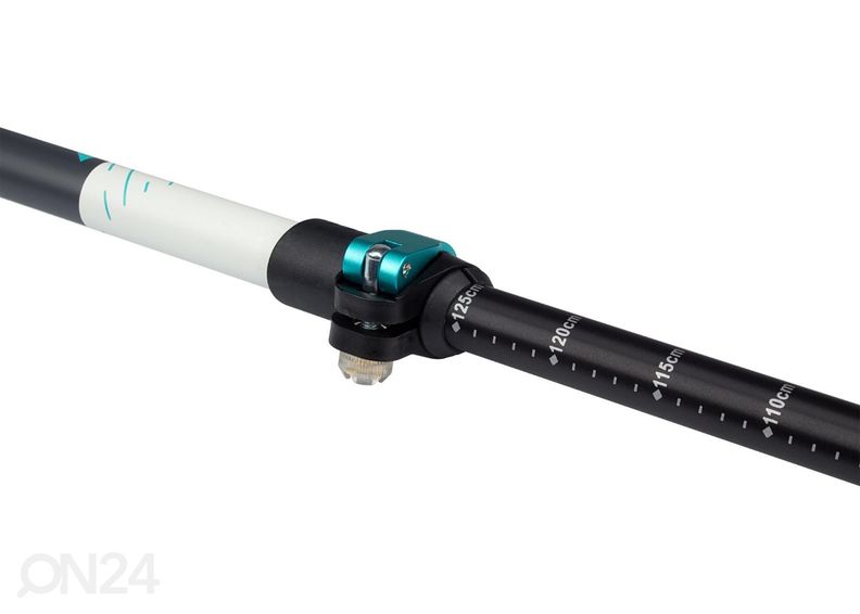 Käimiskepid Abbey suurendatud