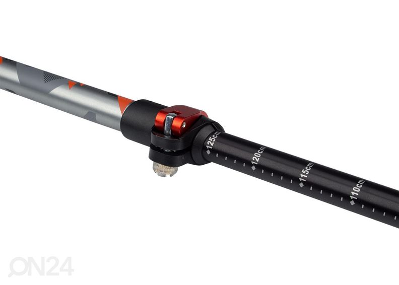 Käimiskepp Abbey suurendatud