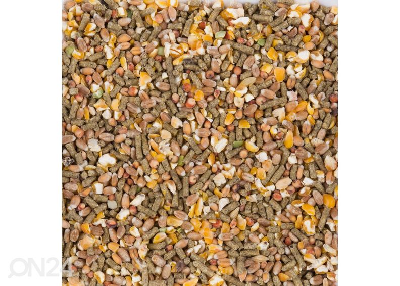 Kanatoit Chix Laying Mix 4 kg suurendatud