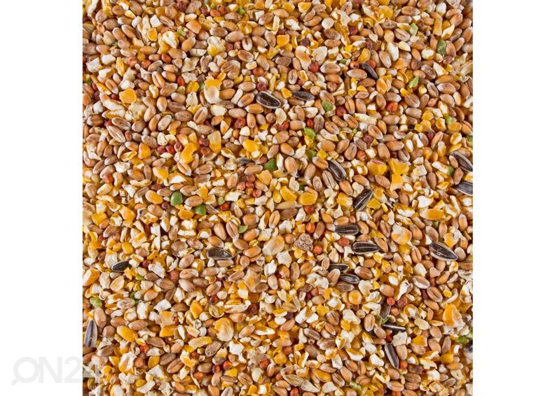 Kanatoit Chix Mix With Broken Maize 4 kg suurendatud