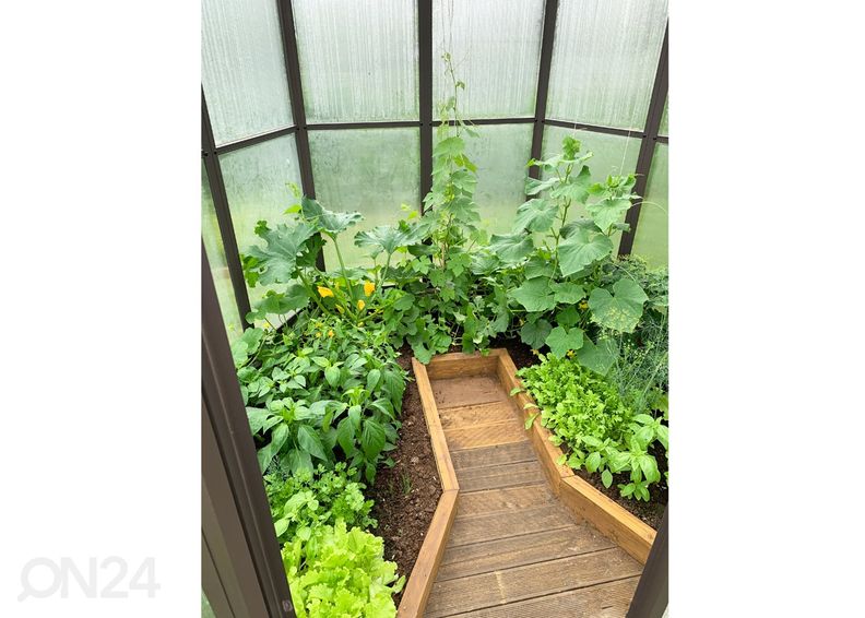 Kasvuhoone kuusnurkne suurendatud