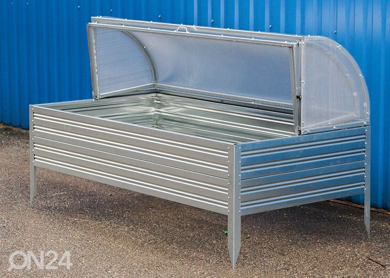 Kasvulava Astra suurendatud