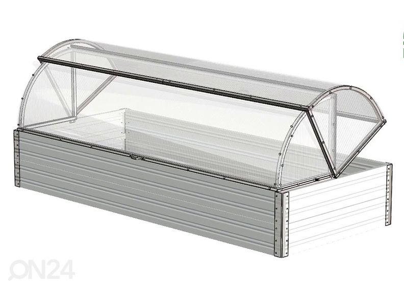 Kasvulava Astra suurendatud