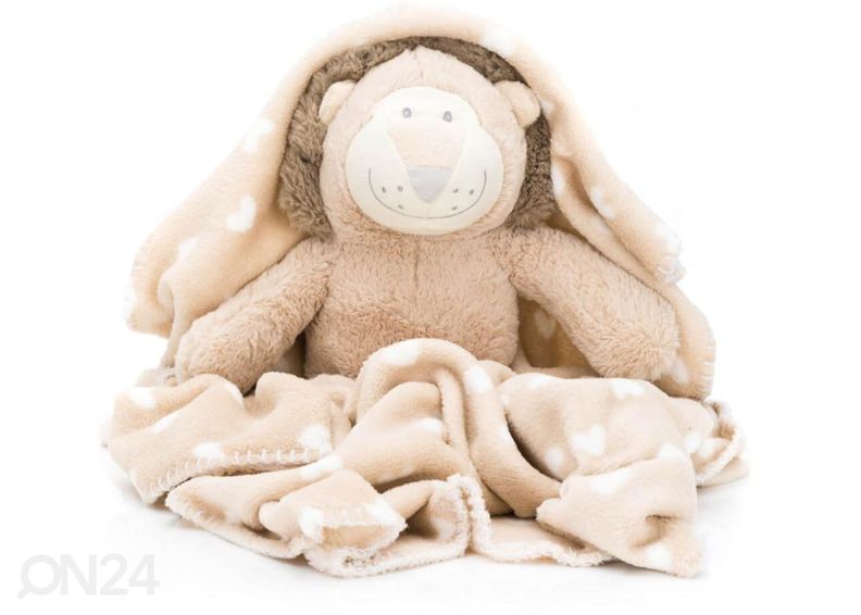 Kinkekomplekt Lõvi karbis, Fillikid suurendatud