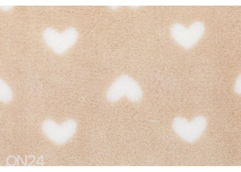 Kinkekomplekt Lõvi karbis, Fillikid suurendatud