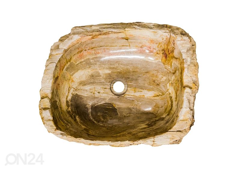 Kivistunud puidust valamu suurendatud