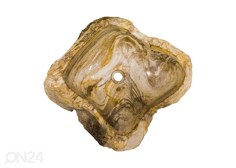 Kivistunud puidust valamu suurendatud