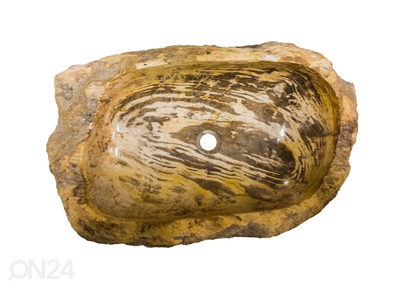 Kivistunud puidust valamu suurendatud