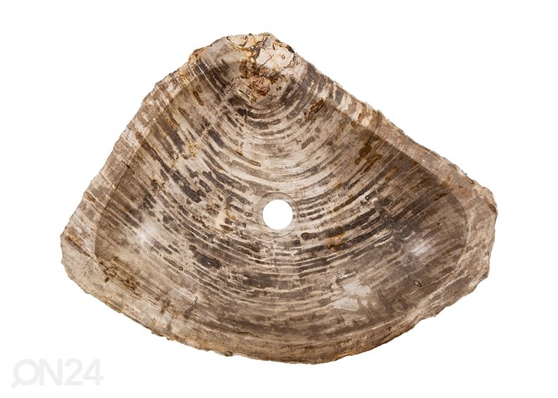 Kivistunud puidust valamu suurendatud