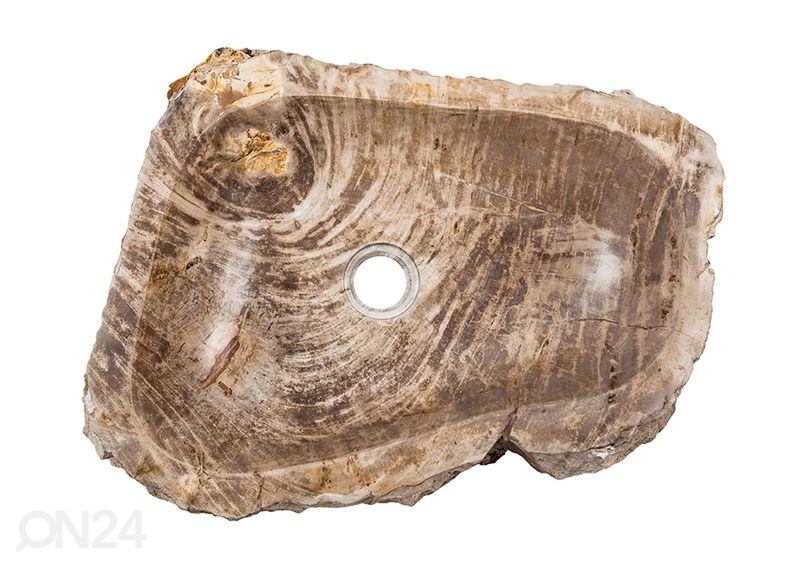 Kivistunud puidust valamu suurendatud