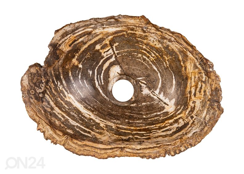 Kivistunud puidust valamu suurendatud