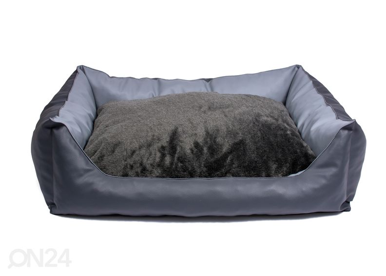 Koeradiivan S2 60x45 cm suurendatud