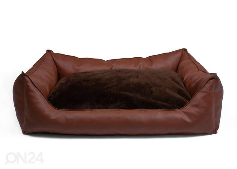 Koeradiivan S2 60x45 cm suurendatud