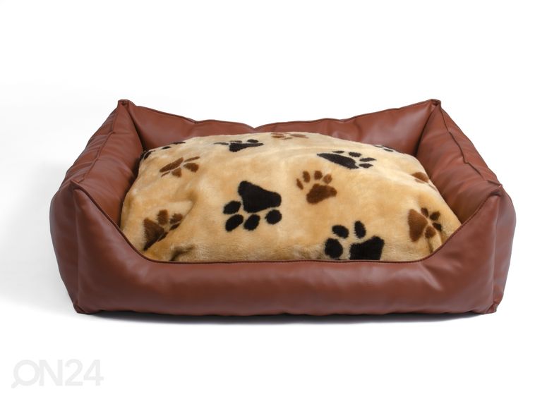 Koeradiivan S2 60x45 cm suurendatud