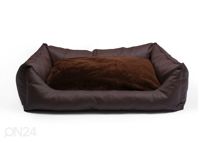 Koeradiivan S2 60x45 cm suurendatud