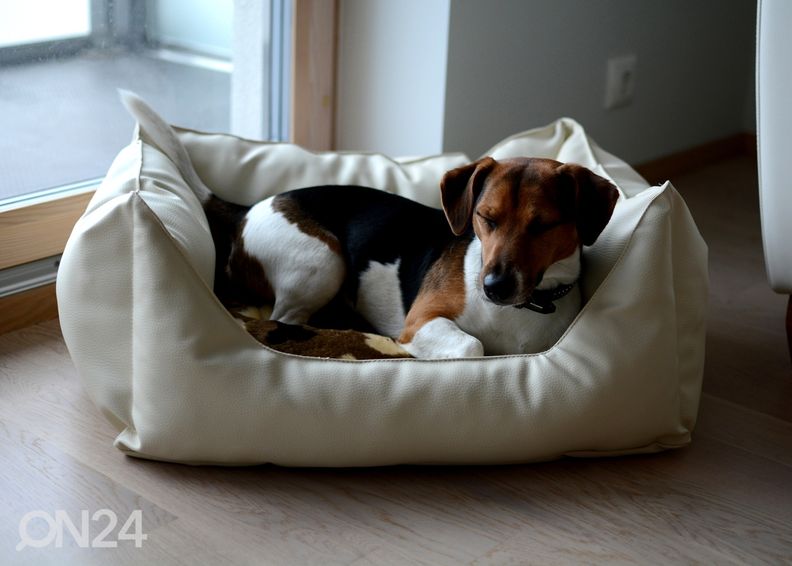 Koeradiivan S2 60x45 cm suurendatud