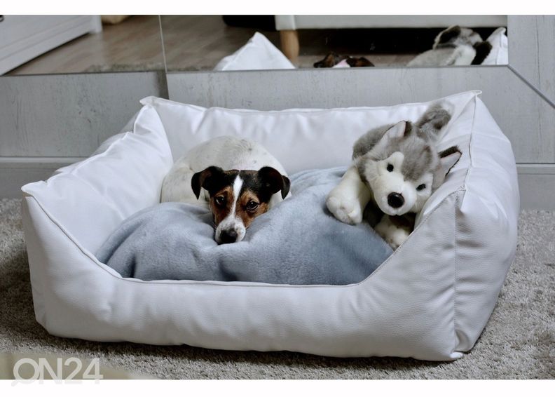 Koeradiivan S4 85x70 cm suurendatud