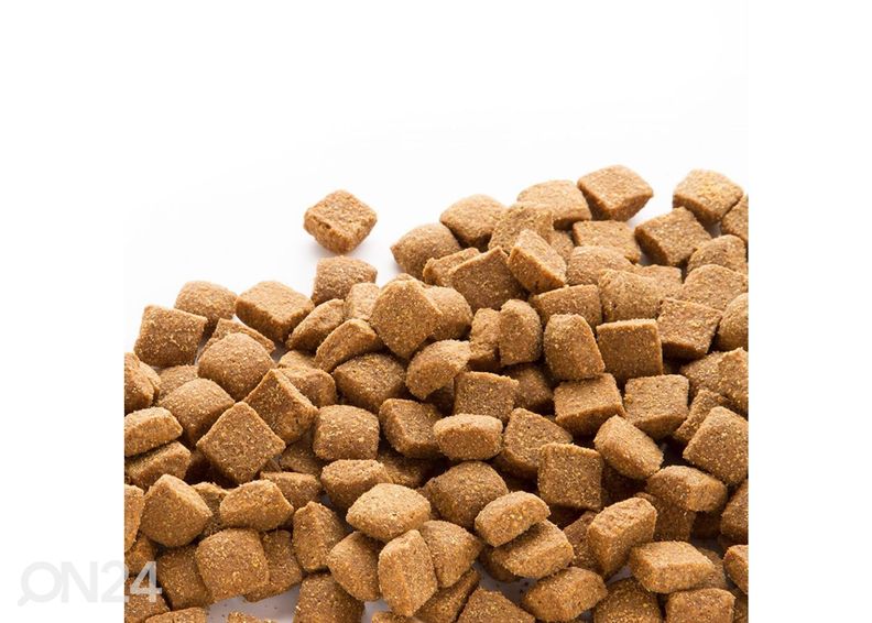 Koeratoit kutsikatele suur tõug kana ja riis 15 kg suurendatud