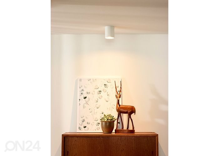 Kohtvalgusti Bodi suurendatud