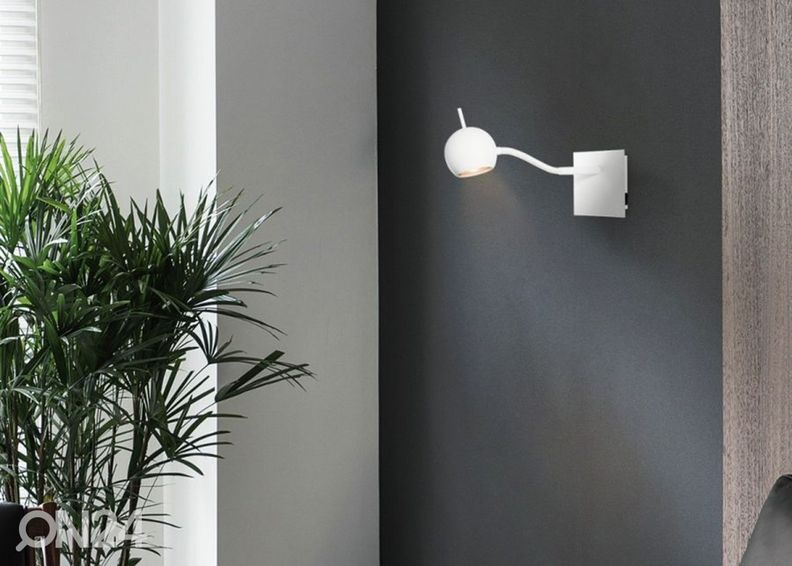 Kohtvalgusti Bollo suurendatud