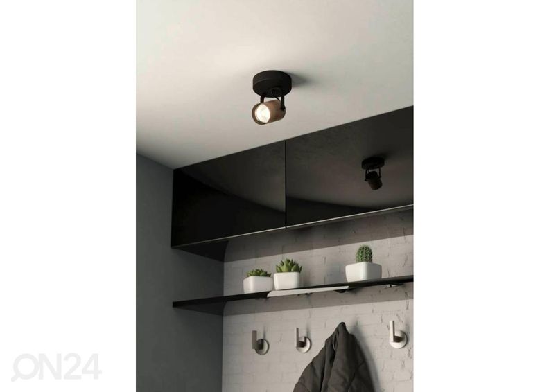 Kohtvalgusti Cayuca suurendatud