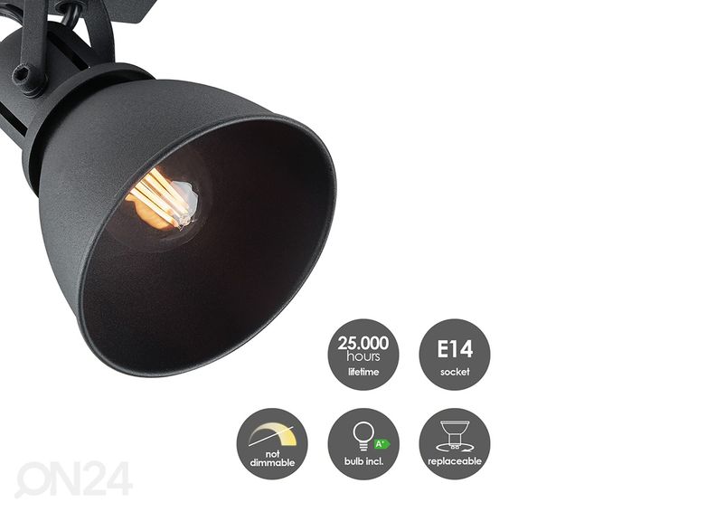 Kohtvalgusti Fama suurendatud