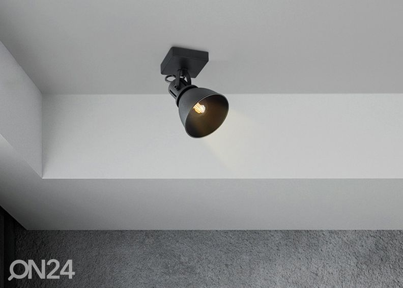 Kohtvalgusti Fama suurendatud