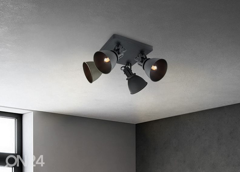 Kohtvalgusti Fama suurendatud