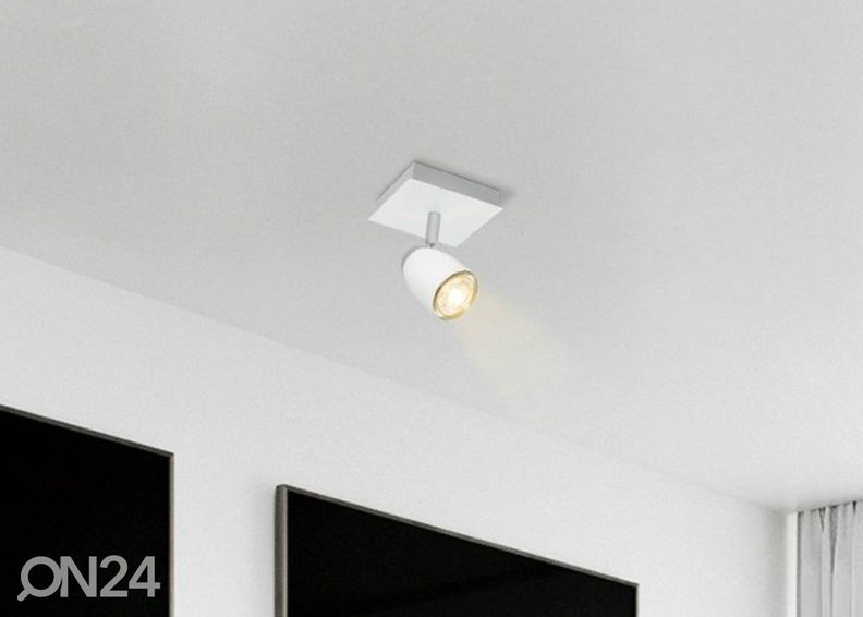 Kohtvalgusti Gina suurendatud